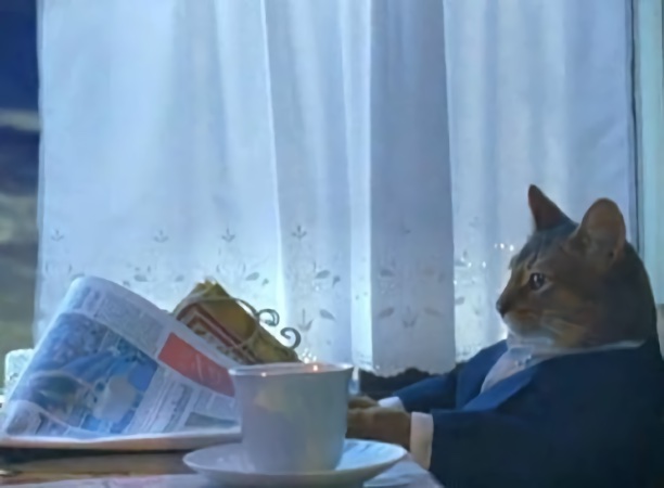 Cat With Newspaper Meme